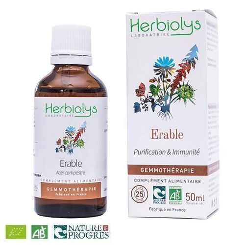 Erable Champêtre Macérât De Bourgeon Bio - Purification Et Immunité 50 Ml - Herbiolys 
