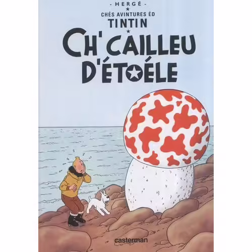Les Aventures De Tintin - Ch'cailleu D'étoéle (L'etoile Mystérieuse)