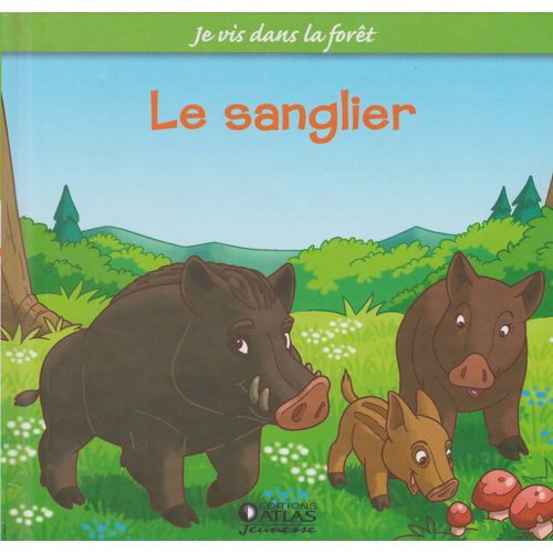 Je Vis Dans La Foret . Le Sanglier