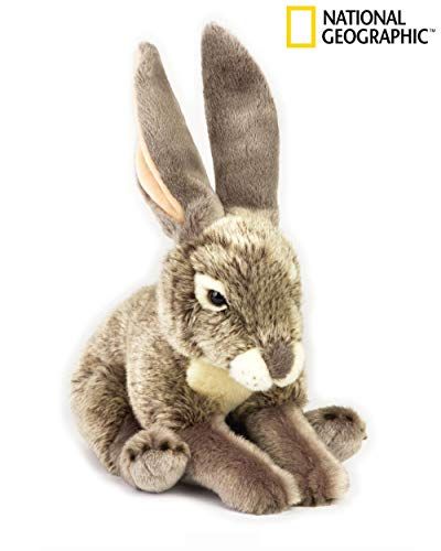 National Geographic Hare Plush