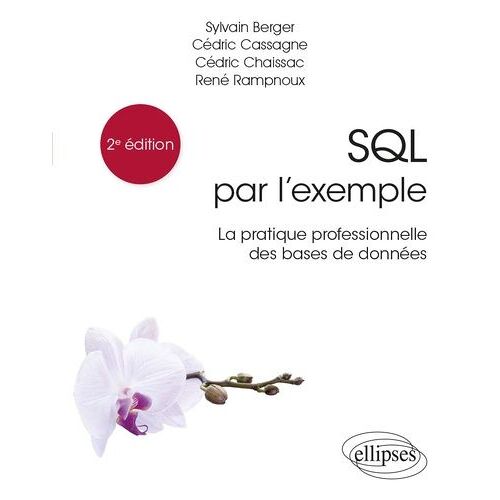 Sql Par L'exemple - La Pratique Professionnelle Des Bases De Données