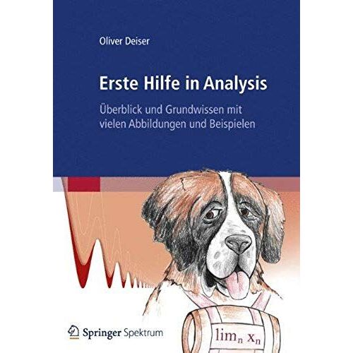 Erste Hilfe In Analysis: Überblick Und Grundwissen Mit Vielen Abbildungen Und Beispielen