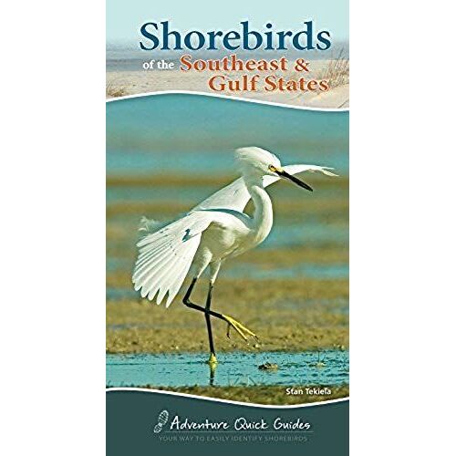 Shorebirds Of The Southeast & Gulf States