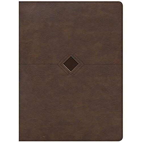 Csb Day-By-Day Chronological Bible, Brown Leathertouch