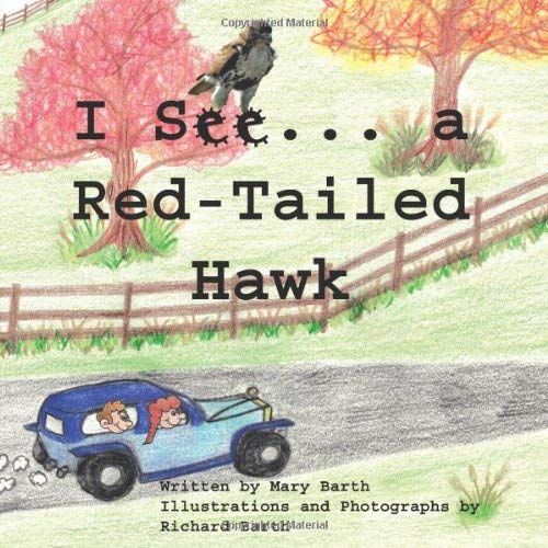 I See . . . A Red-Tail Hawked