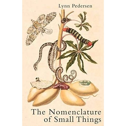 The Nomenclature Of Small Things