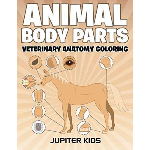 Animal Body Parts