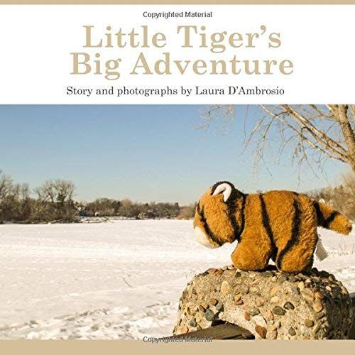 Little Tiger's Big Adventure