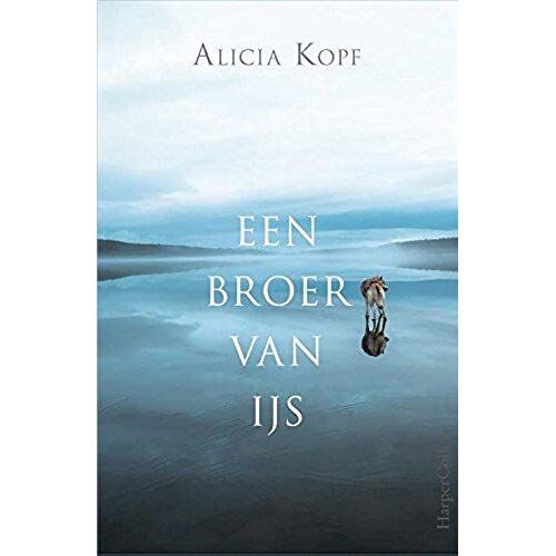 Een Broer Van Ijs