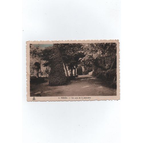Médéa - Un Coin De La Pépinière. - Carte Années 30 Etablissement Photo Albert, Alger.