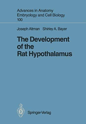 The Development Of The Rat Hypothalamus