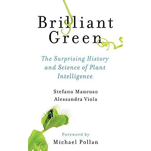 Brilliant Green