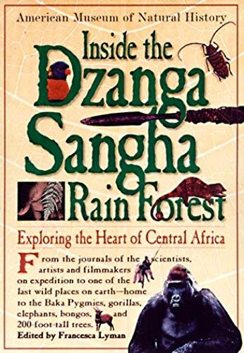 Inside The Dzanga Sangha Rain Forest