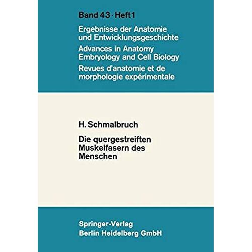 Die Quergestreiften Muskelfasern Des Menschen