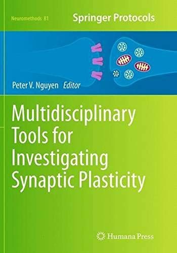 Multidisciplinary Tools For Investigating Synaptic Plasticity