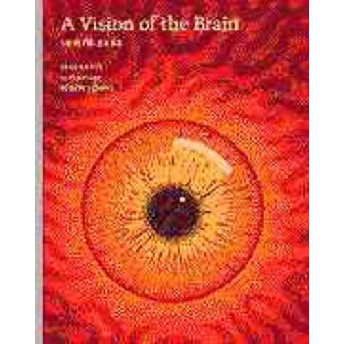 A Vision Of The Brain