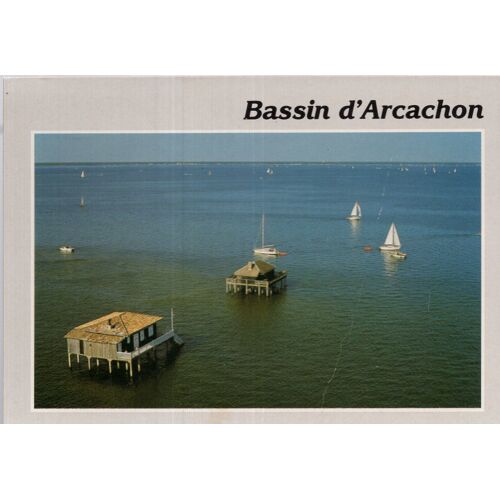 Carte Postale Du Bassin D' Arcachon (Gironde) Les Cabanes Sur Pilotis De L'ile Aux Oiseaux Au Milieu Du Bassin (Réf.040)