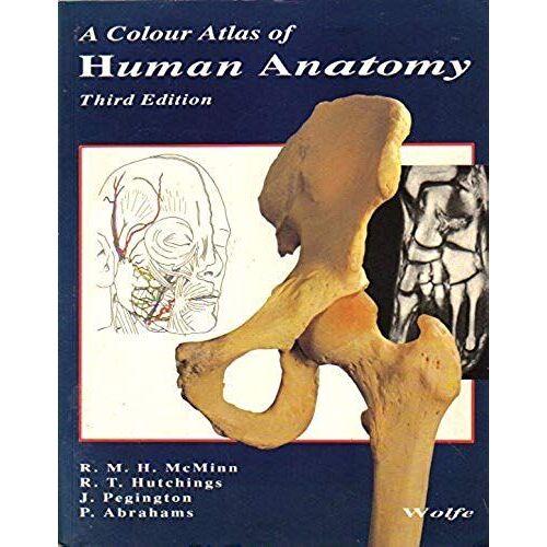 A Colour Atlas Of Human Anatomy