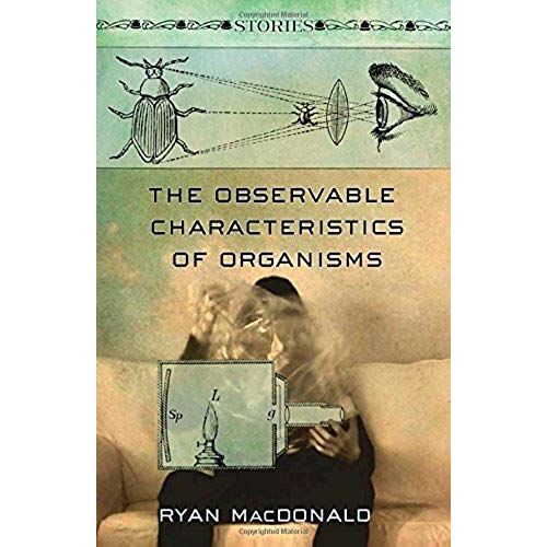 The Observable Characteristics Of Organisms