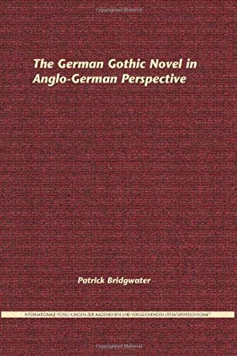 The German Gothic Novel In Anglo-German Perspective