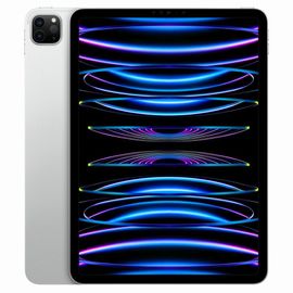 Apple iPad Pro 11" Wi-Fi 2022 2To argent