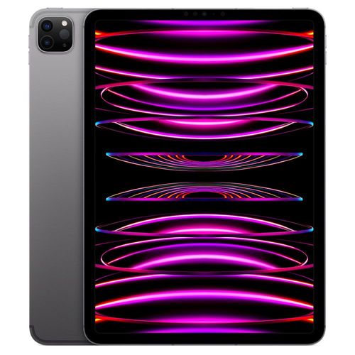 Apple iPad Pro M2 (2022) 11" Wi-Fi + Cellular 1 To Gris sidéral