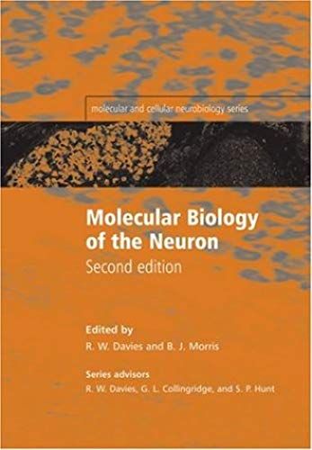 Molecular Biology Of The Neuron