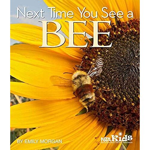 Next Time You See A Bee