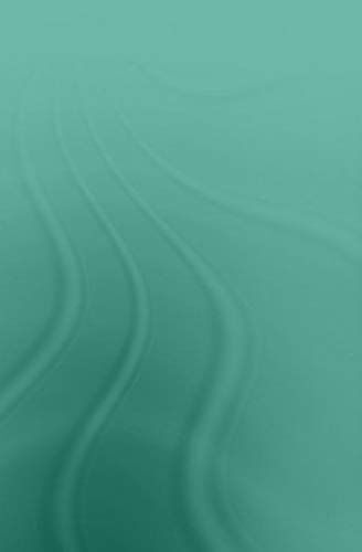 Japanese Bosses, Chinese Workers