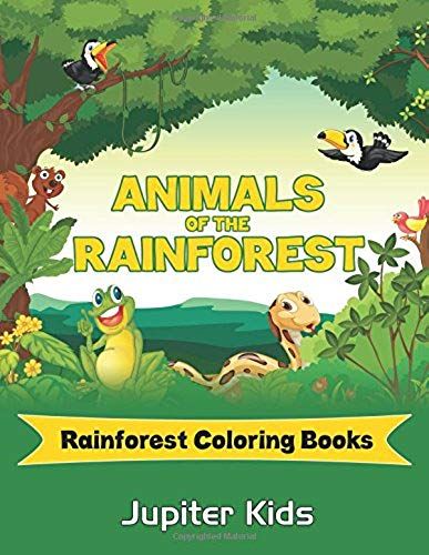 Animals Of The Rainforest