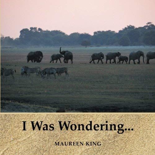 I Was Wondering...