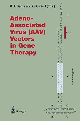 Adeno-Associated Virus (Aav) Vectors In Gene Therapy (Current Topics In Microbiology And Immunology)