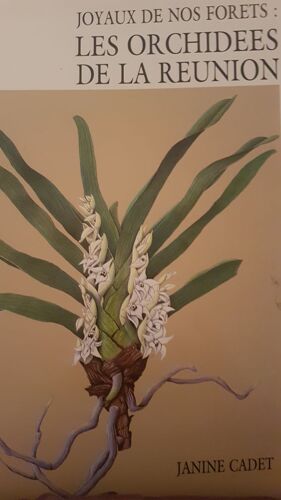 Joyaux De Nos Forets Les Orchidéees De La Reunion