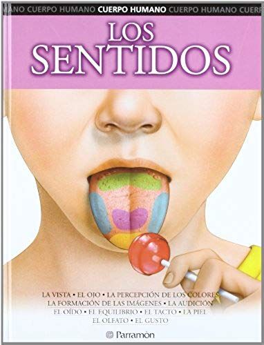 Los Sentidos : Cuerpo Humano