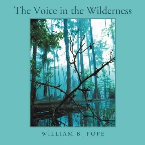 The Voice In The Wilderness