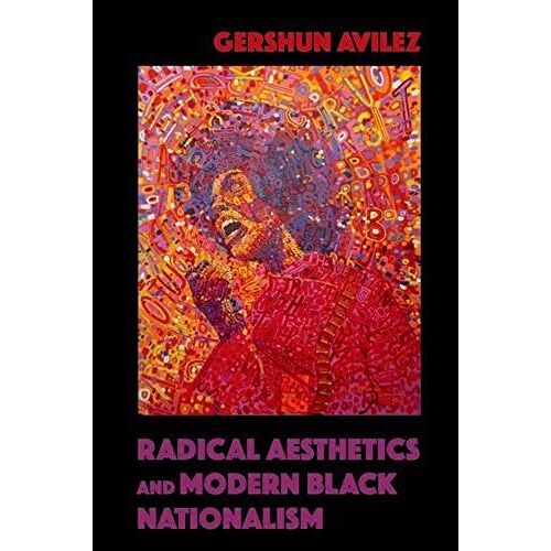 Radical Aesthetics And Modern Black Nationalism