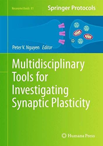 Multidisciplinary Tools For Investigating Synaptic Plasticity