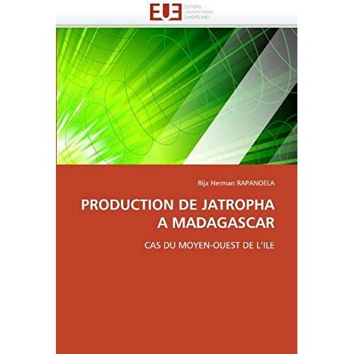 Production De Jatropha À Madagascar