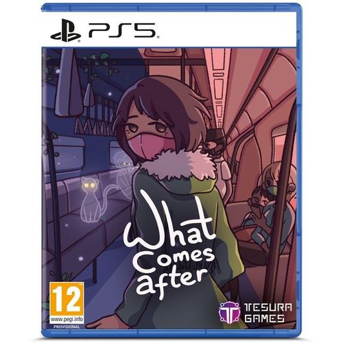 What Comes After PS5