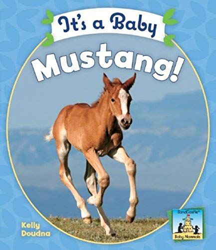 It's A Baby Mustang! (Sandcastle: Baby Mammals)