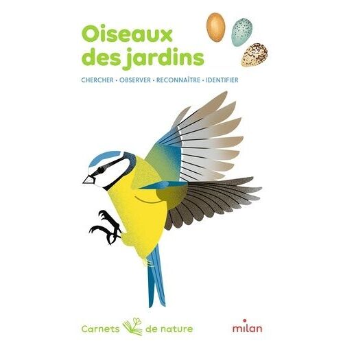 Oiseaux Des Jardins - Chercher, Observer, Reconnaître, Identifier