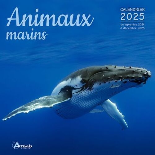 Animaux Marins - Calendrier De Septembre 2024 À Décembre 2025