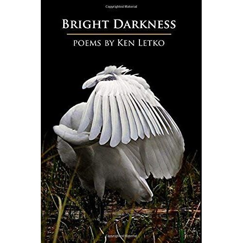 Bright Darkness