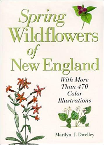 Spring Wildflowers Of New England