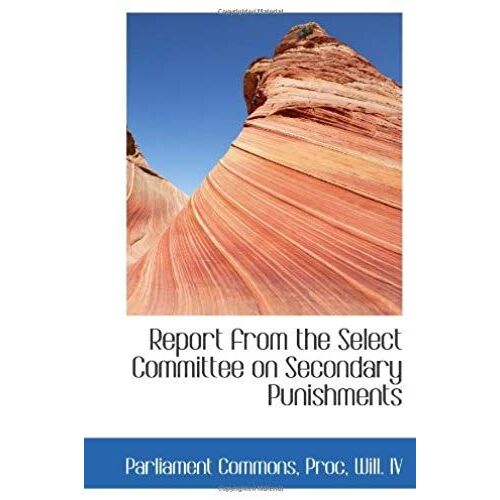 Report From The Select Committee On Secondary Punishments