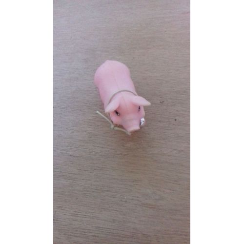 Cochon En Plastique