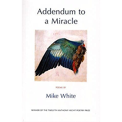 Addendum To A Miracle