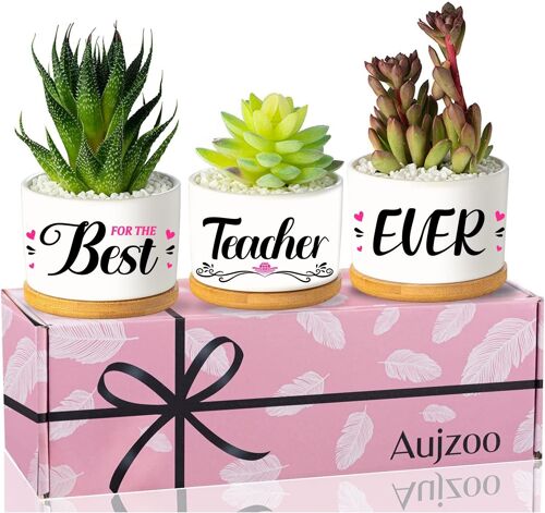 Kalanka-Cadeaux Pour Enseignants Pour Femmes, Cadeaux De Reconnaissance Pour Les Enseignants, Pots Succulents, Idées Cadeaux D'été Cool, Livrés Dans Une Jolie Boîte Cadeau