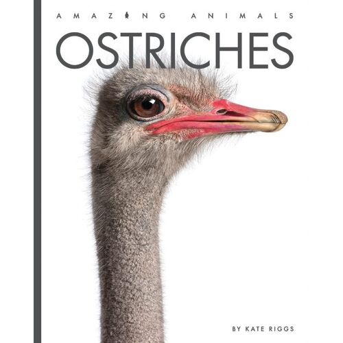 Ostriches