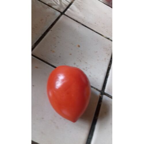 30 Graines De Petites Tomates Rouge Ancienne